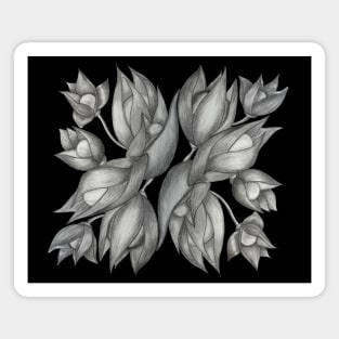 Black and White flowers. Pencil drawing. Sketch Magnet